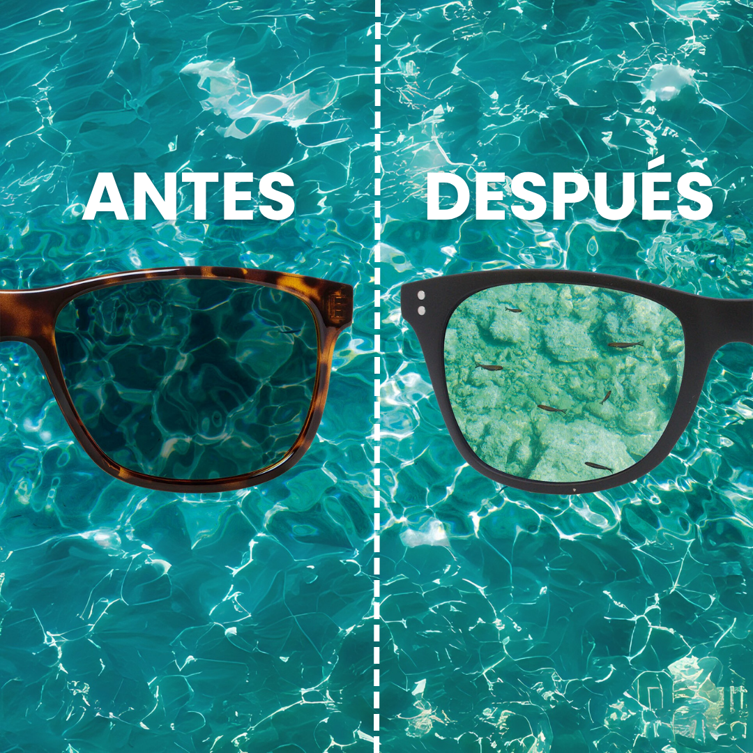 Gafas Polaryte® Photochromic