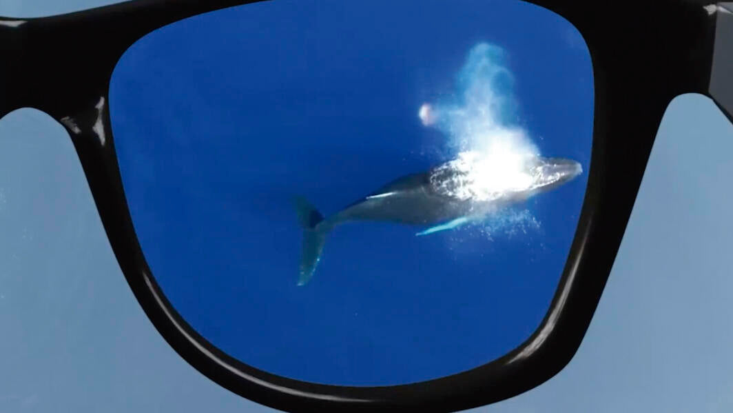 Gafas Polaryte® Photochromic